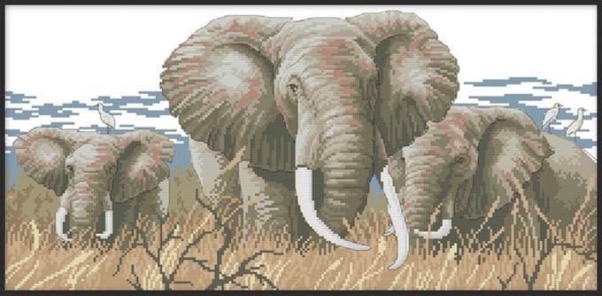 ٻҾ2 ͧԹ : ҧ  Elephant (/)