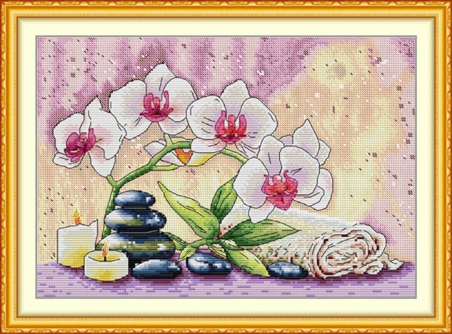ٻҾ2 ͧԹ : Phalaenopsis (/)