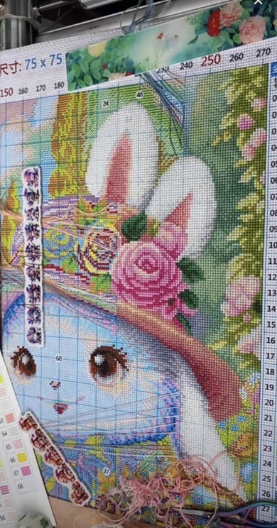 ٻҾ2 ͧԹ : Rose rabbit ()