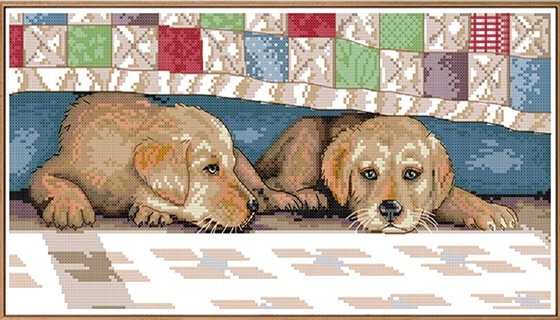 ٻҾ2 ͧԹ : Brothers dog (/)