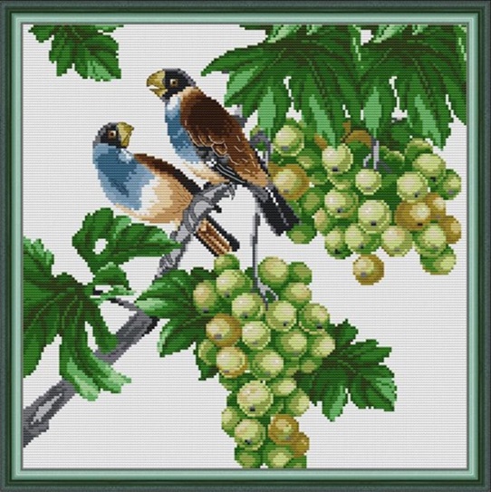 ٻҾ2 ͧԹ : Little birds (/)