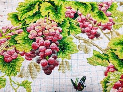 ٻҾ2 ͧԹ : Fruitful grapes ()