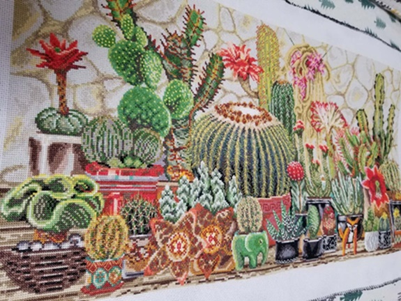 ٻҾ2 ͧԹ : Cactus (/)