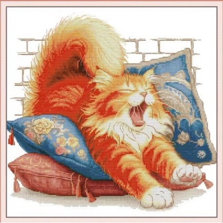 ٻҾ2 ͧԹ : Orange cat (/)