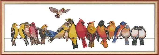 ٻҾ2 ͧԹ : Colorful bird (/)