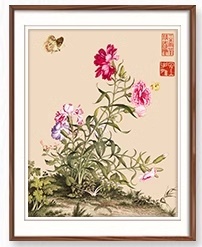 ٻҾ2 ͧԹ : Bird and flower ()