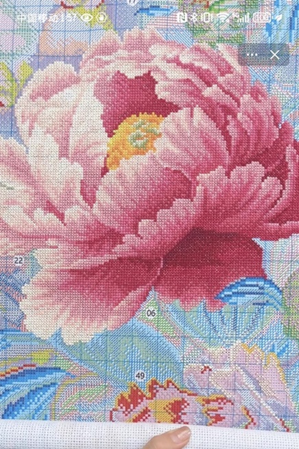 ٻҾ2 ͧԹ : Peony blooming ()