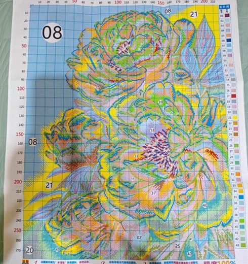 ٻҾ2 ͧԹ : Peony flower ()