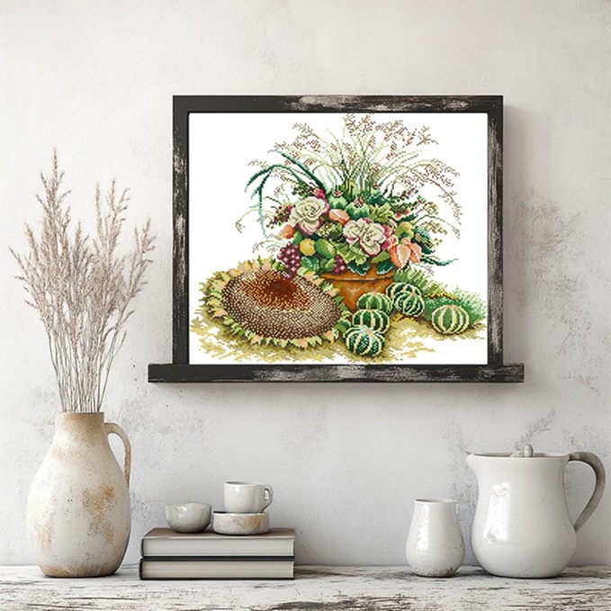ٻҾ2 ͧԹ : Succulent (/)