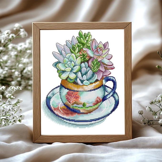 ٻҾ2 ͧԹ : Succulent (/)