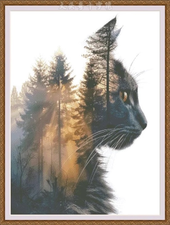 �ٻ�Ҿ���2 �ͧ�Թ��� : Black cat (��������)