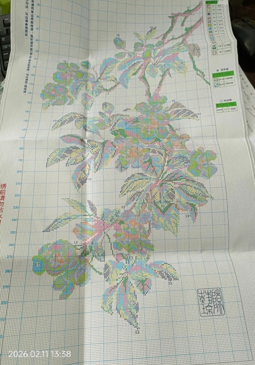 �ٻ�Ҿ���2 �ͧ�Թ��� : Begonia Flower (��������)