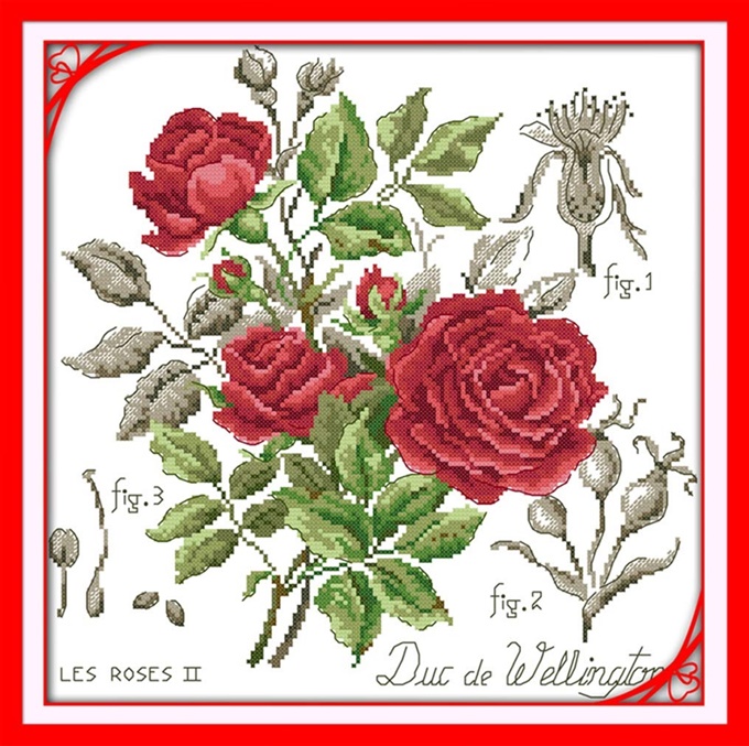 �ٻ�Ҿ���2 �ͧ�Թ��� : Bouquet of roses (�������/��������)