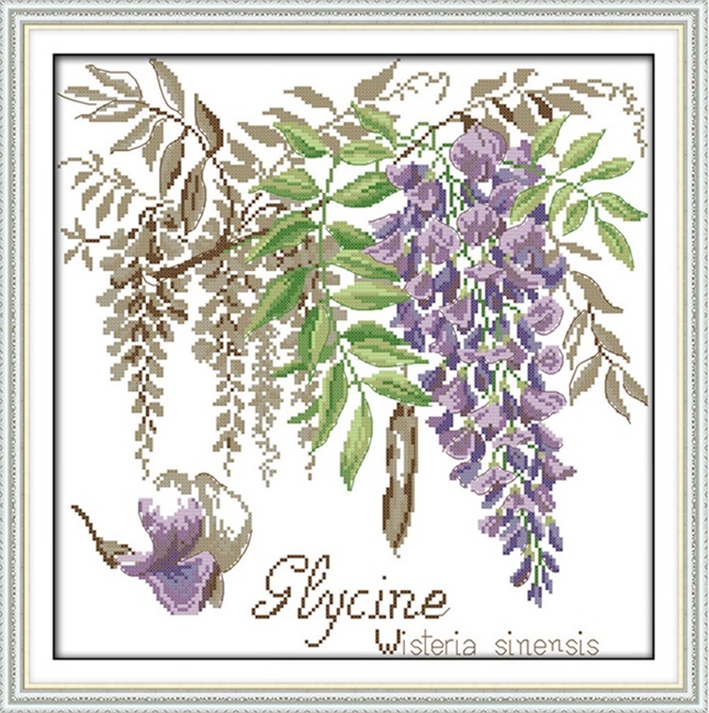 �ٻ�Ҿ���2 �ͧ�Թ��� : Shadow of flower (�������/��������)