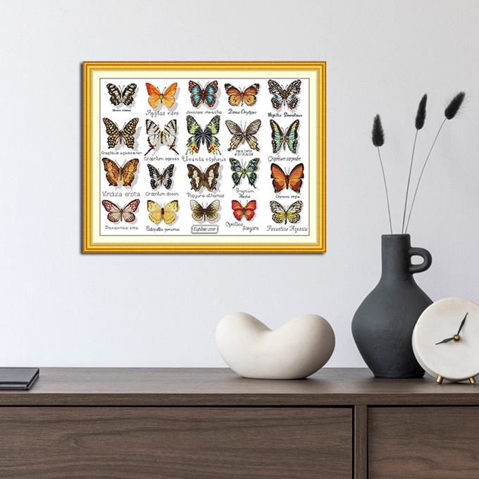 �ٻ�Ҿ���2 �ͧ�Թ��� : Butterflies (�������/��������)