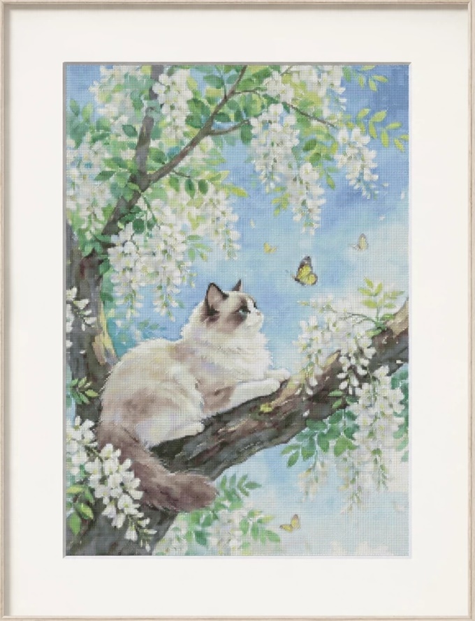 �ٻ�Ҿ���2 �ͧ�Թ��� : Cat Seeking Butterfly (��������)