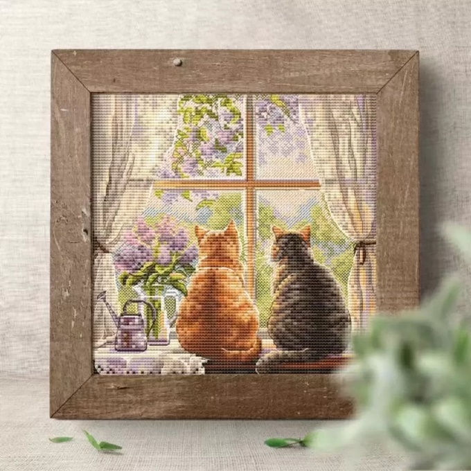 �ٻ�Ҿ���2 �ͧ�Թ��� : Cat on the Window Series (��������)