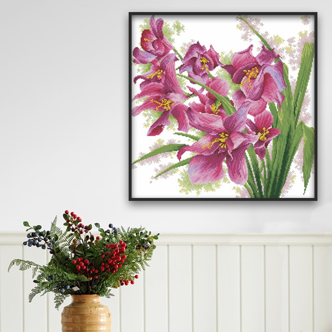 ٻҾ3 ͧԹ : Orchid (/)