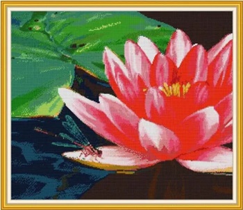 ٻҾ3 ͧԹ : Lotus (/)