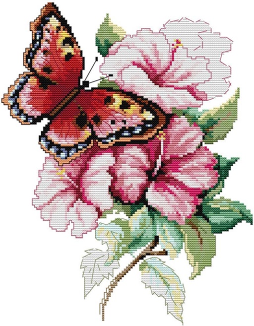 ٻҾ3 ͧԹ : Butterflies and flower (/)