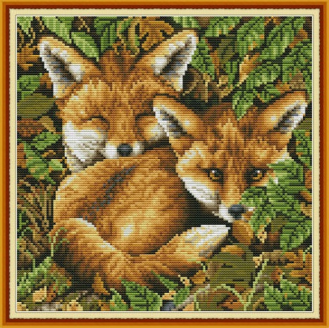 ٻҾ3 ͧԹ : Two foxes (/)