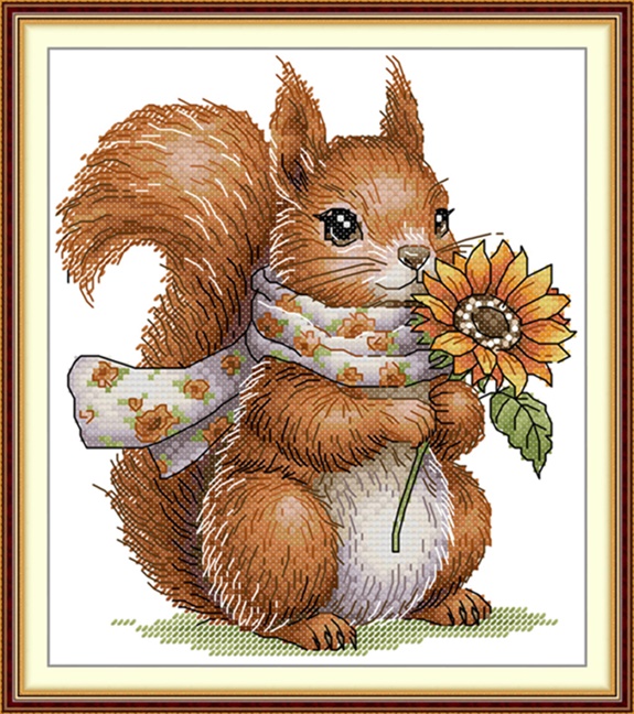 ٻҾ3 ͧԹ : Little red panda and squirrel (/)