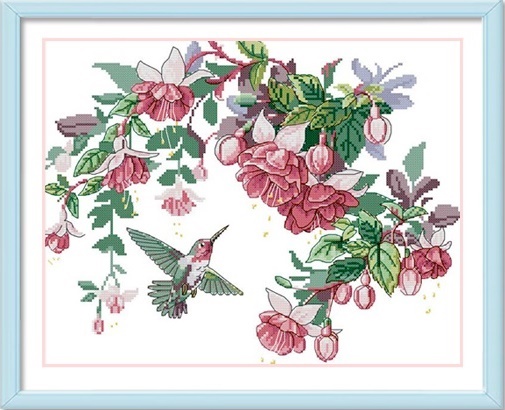 ٻҾ3 ͧԹ : Hummingbirds (/)