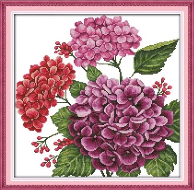 ٻҾ3 ͧԹ : Hydrangea (/)