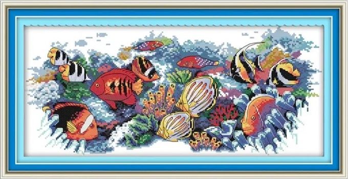 ٻҾ3 ͧԹ : Tropical fish (/)