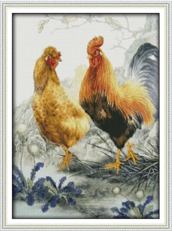 ٻҾ3 ͧԹ : Chicken and family (/)