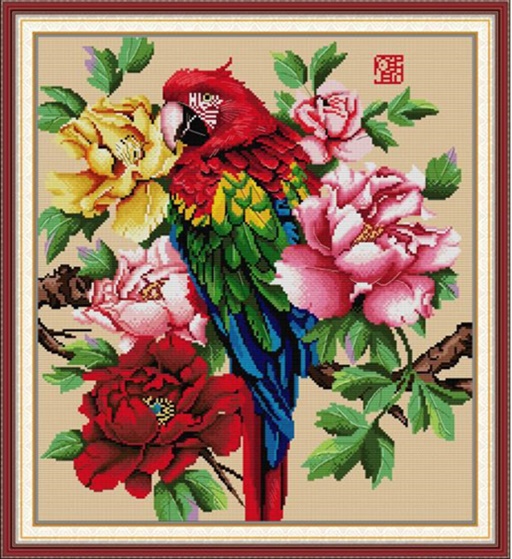 ٻҾ3 ͧԹ : Beautiful parrot (/)