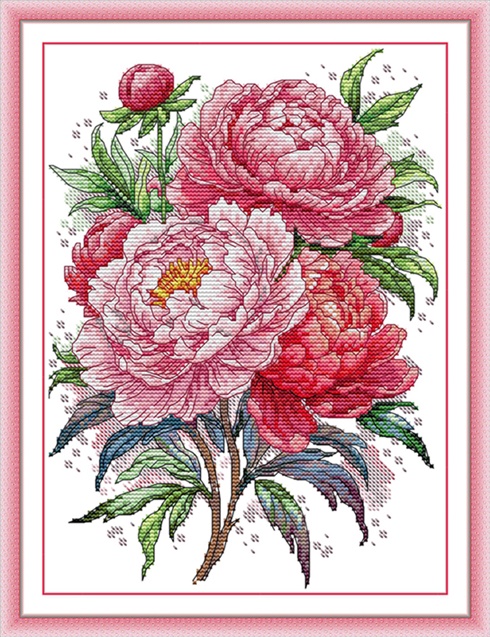 ٻҾ3 ͧԹ : Set of flower (/)