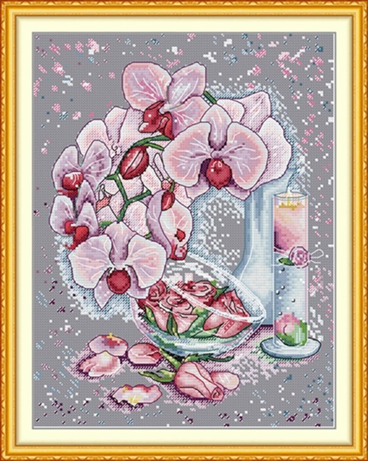 ٻҾ3 ͧԹ : Phalaenopsis (/)