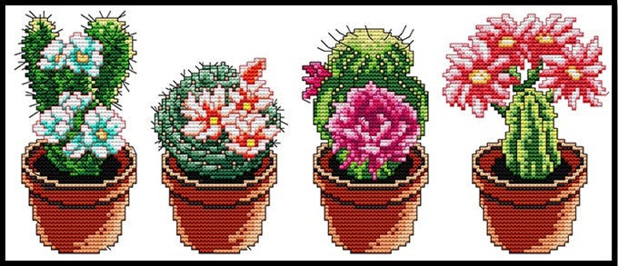 ٻҾ3 ͧԹ : Cactus (/)
