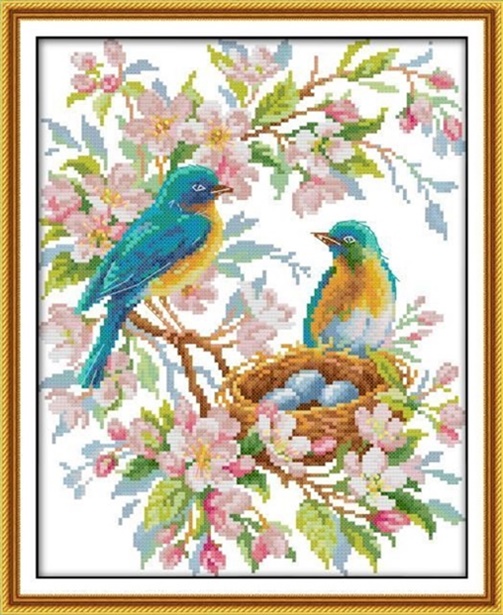 ٻҾ3 ͧԹ : Little birds (/)