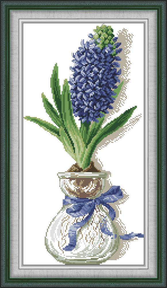 ٻҾ3 ͧԹ : Hyacinth (/)