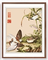 ٻҾ3 ͧԹ : Flower and bird ()