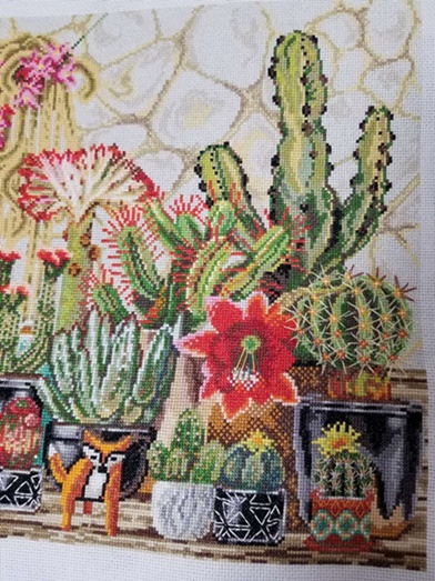 ٻҾ3 ͧԹ : Cactus (/)