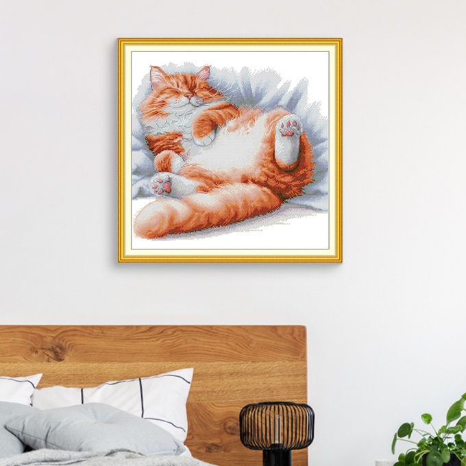 ٻҾ3 ͧԹ : Orange cat (/)