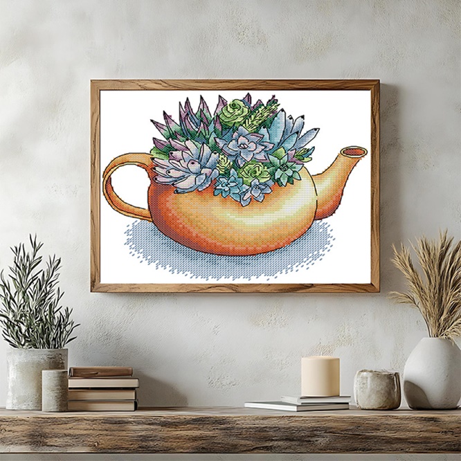 ٻҾ3 ͧԹ : Succulent (/)