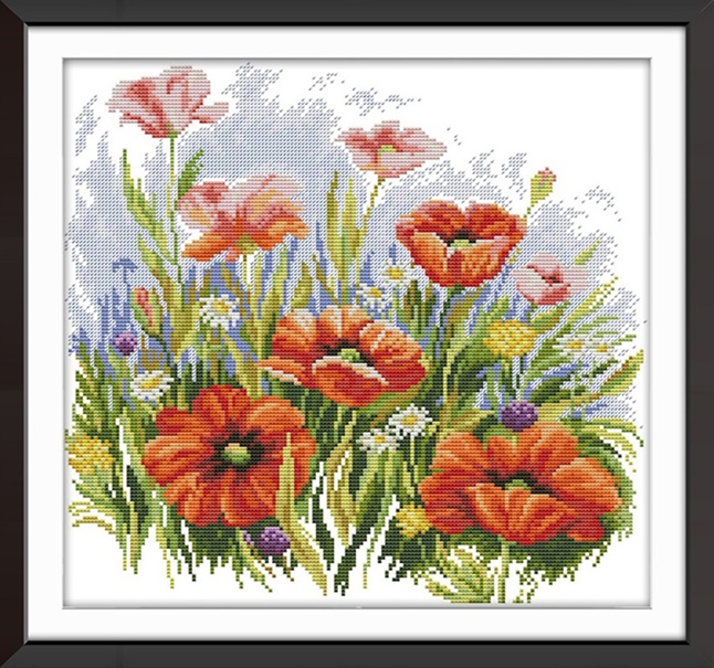 �ٻ�Ҿ���3 �ͧ�Թ��� : Poppy blooms (�������/��������)
