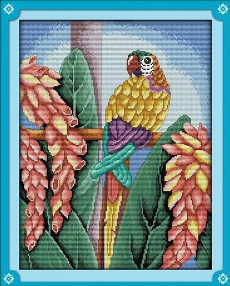 ٻҾ4 ͧԹ : Parrot, macow (/)