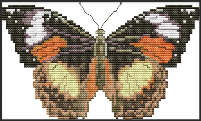 ٻҾ4 ͧԹ : Butterflies (/)
