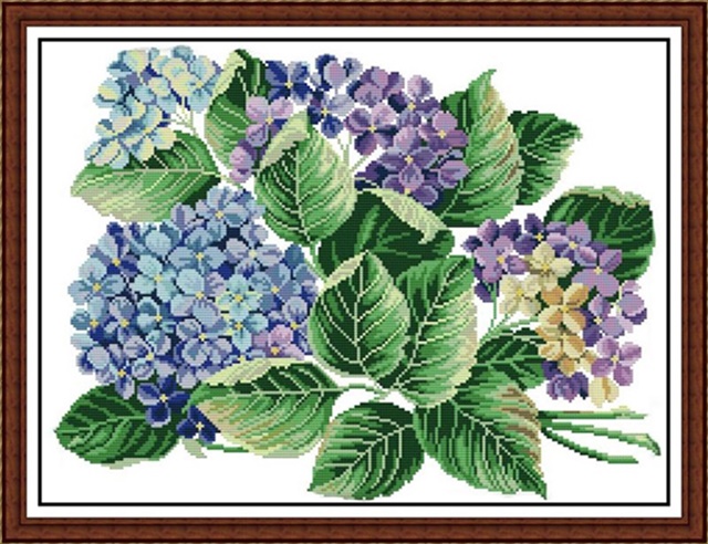 ٻҾ4 ͧԹ : Hydrangea (/)
