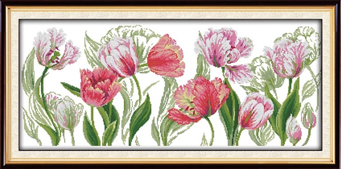 ٻҾ4 ͧԹ : Poppies and tulips (/)