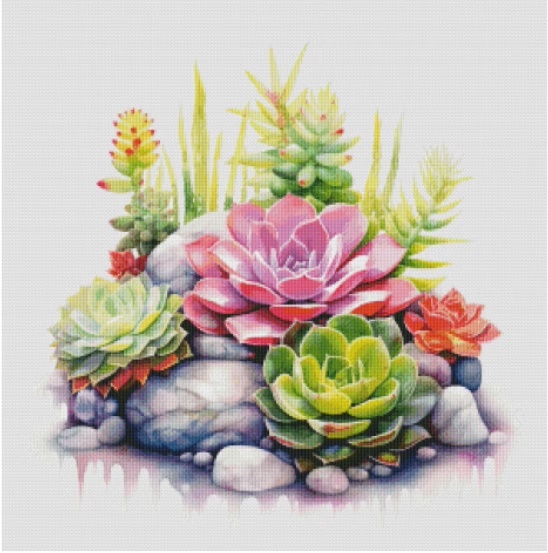 ٻҾ4 ͧԹ : Succulent cactus ()