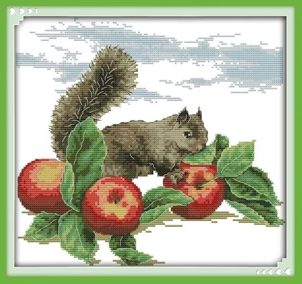 ٻҾ4 ͧԹ : Squirrel (/)
