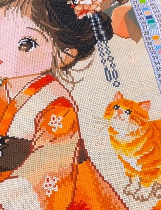 ٻҾ4 ͧԹ : Orange girl ()