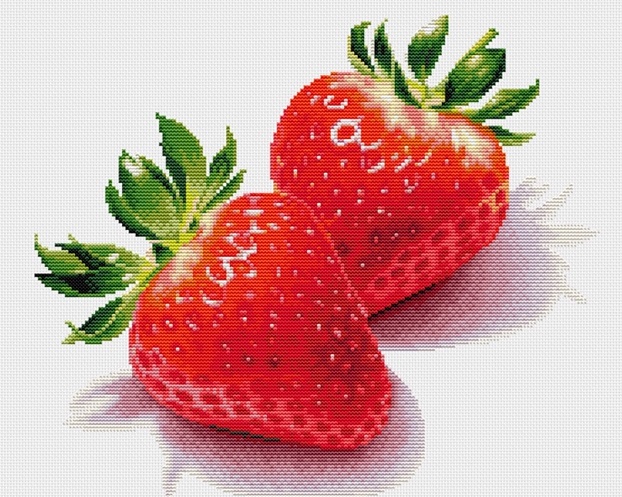 รูปภาพที่#4 ของสินค้า : Fruit (พิมพ์ลาย) รูปภาพที่4 ของสินค้า : Fruit (พิมพ์ลาย)