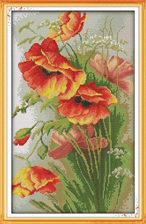 ٻҾ5 ͧԹ : Poppies flower (/)